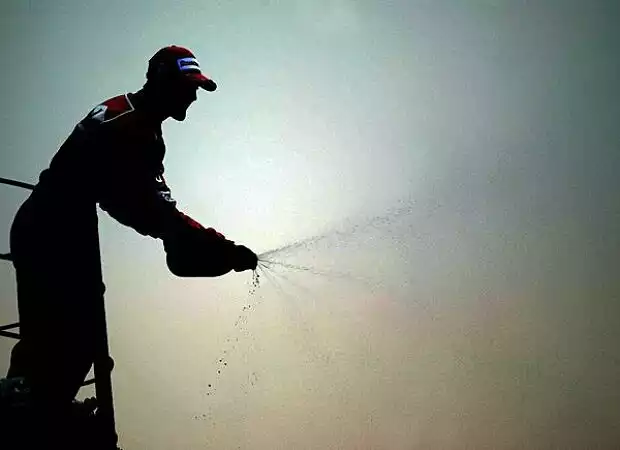 Michael Schumacher Titel-Bild zur News: Michael Schumacher
