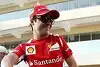 Bild zum Inhalt: Ein Bund für's Leben: Massa und Ferrari