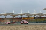 Gabriele Tarquini (Lukoil) und Aleksei Dudukalo (Lukoil) 