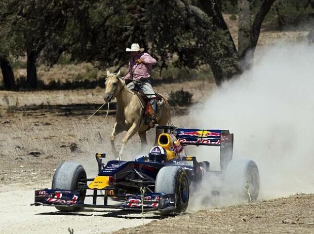 David Coulthard David Coulthard
