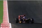 Daniel Ricciardo (Toro Rosso) 