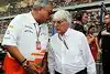 Bild zum Inhalt: Mallya: Formel 1 in Indien erst bei "Zehntel des Potenzials"