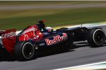 Daniel Ricciardo (Toro Rosso) 