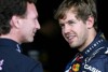 Bild zum Inhalt: Horners Plädoyer: Warum Vettel einer der Größten ist