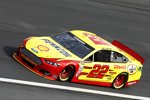 Joey Logano (Penske) 