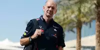 Bild zum Inhalt: Newey genießt seine Arbeit bei Red Bull