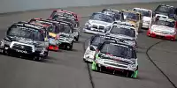 Bild zum Inhalt: Kyle Busch und Champion Buescher fahren Trucks