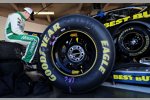 Rookie-of-the-Year-Anwärter Ricky Stenhouse in der Roush-Box