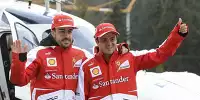 Bild zum Inhalt: Wiedererstarkter Massa keine Bedrohung für Alonso