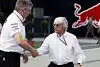 Bild zum Inhalt: Ecclestone rechnet mit Abschied von Brawn