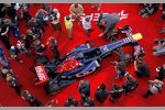 Toro-Rosso-Ferrari STR8