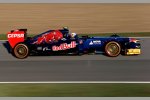 Daniel Ricciardo (Toro Rosso) 