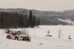 Sebastien Loeb (Citroen) 