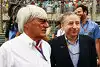 Bild zum Inhalt: Ecclestone und Todt bitten zum Gipfeltreffen