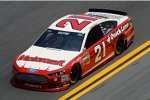 Trevor Bayne (Wood) 