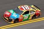 Kyle Busch (Gibbs) 