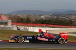 Daniel Ricciardo (Toro Rosso) 