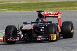 Daniel Ricciardo (Toro Rosso) 