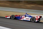 Takuma Sato (Foyt) 