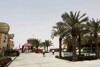 Bild zum Inhalt: Bahrain: Die Wüste lebt