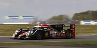 Nicolas Prost, Neel Jani, Nick Heidfeld