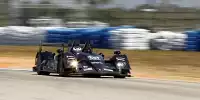 Scott Tucker, Ryan Hunter-Reay, Simon Pagenaud