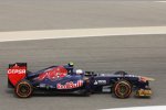 Daniel Ricciardo (Toro Rosso) 