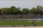 Tom Coronel (ROAL-BMW) und Tom Chilton (RML-Chevrolet) 