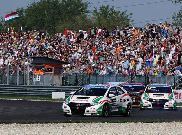 Gabriele Tarquini, Tiago Monteiro