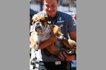 Lewis Hamiltons Hund Roscoe