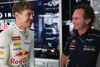 Bild zum Inhalt: Vettel: "Vielleicht fahre ich in fünf Jahren nicht mehr"
