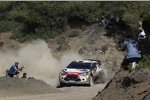 Daniel Sordo (Citroen) 