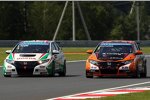 Gabriele Tarquini (Honda) und Norbert Michelisz (Zengö-Honda)