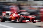 Fernando Alonso (Ferrari) 