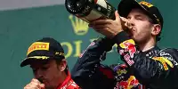 Bild zum Inhalt: Sutil: Warum Vettel den vierten Titel holt