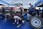 Mads Östberg (M-Sport) 