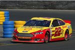 Joey Logano (Penske) 