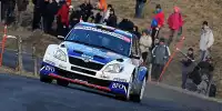 Freddy Loix