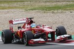 Fernando Alonso (Ferrari) 