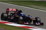 Daniel Ricciardo (Toro Rosso) 