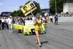 Grisgirl bei Mike Rockenfeller (Phoenix-Audi) 