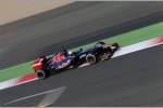 Daniel Ricciardo (Toro Rosso) 