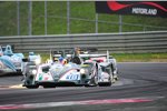 Brendon Hartley und Jonathan Hirschi 