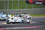 Brendon Hartley und Jonathan Hirschi 