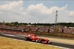 Fernando Alonso (Ferrari) 