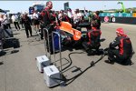 Jules Bianchi (Marussia) 