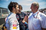 Daniel Ricciardo (Toro Rosso) und Helmut Marko 