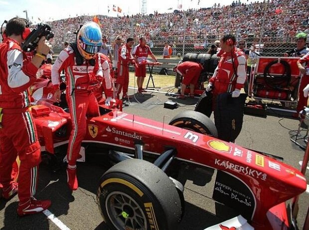Fernando Alonso Fernando Alonso