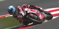 Bild zum Inhalt: Alstare auf der Suche: Checa ja, Hayden nein, Melandri nein