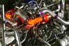 Bild zum Inhalt: LMP1-Antriebe: Neuer Dieselhybrid aus Frankreich?